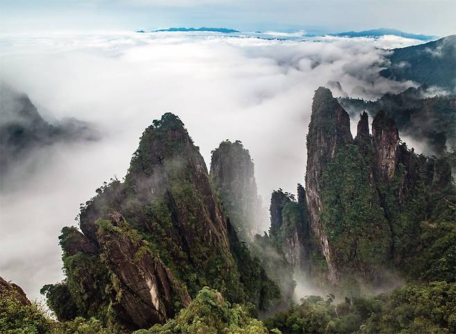 우뚝 솟은 봉우리로 가득한 망산. 1,000m가 넘는 봉우리가 150여 개나 있다 ©천저우여유관광국