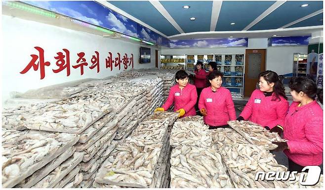 북한 선전매체 '조선의 오늘'이 19일 김정은 국무위원장이 보낸 물고기를 받은 주민들의 사진을 공개했다.('조선의 오늘' 캡처)© 뉴스1