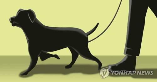 반려견 (PG) [권도윤 제작] 일러스트