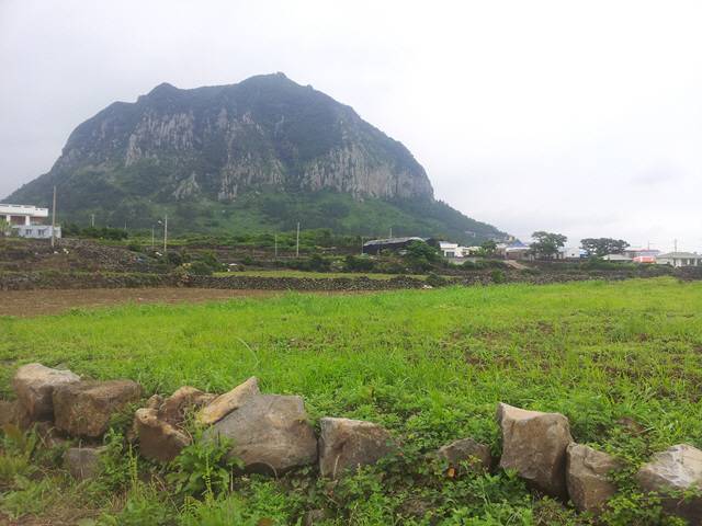 제주도 서귀포시 일대 전경./서울경제DB