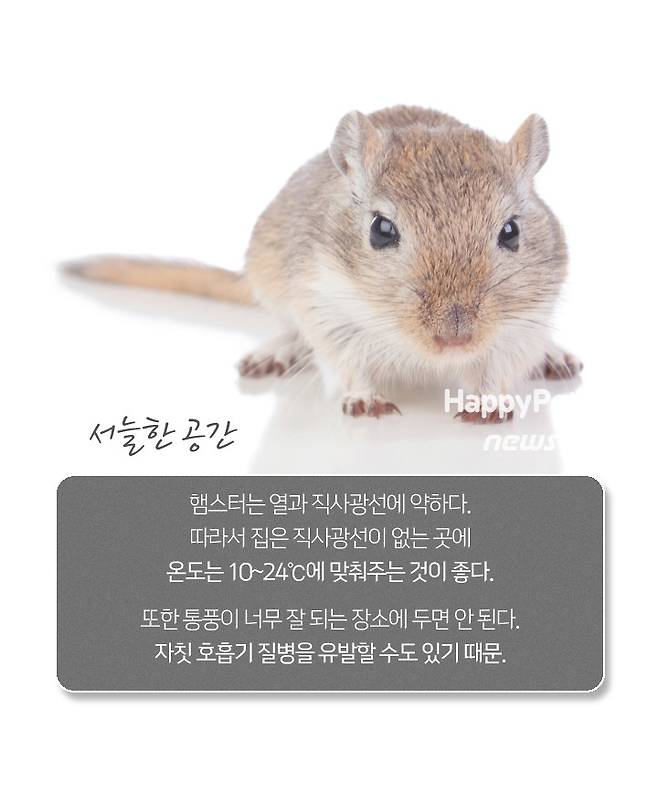 © 뉴스1
