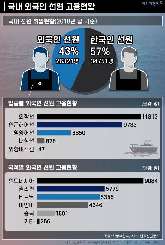 국내 외국인 선원 고용현황. 그래픽 = 이진경 디자이너