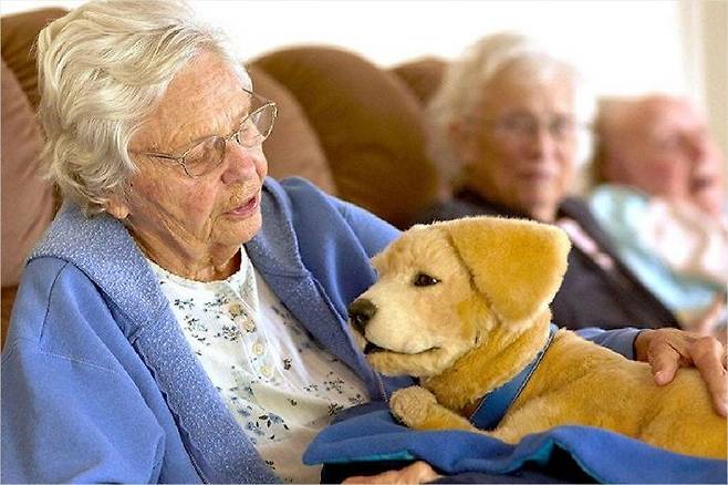 노인의 건강과 정서를 개선해주는 반려봇 '톰봇(TomBot)'