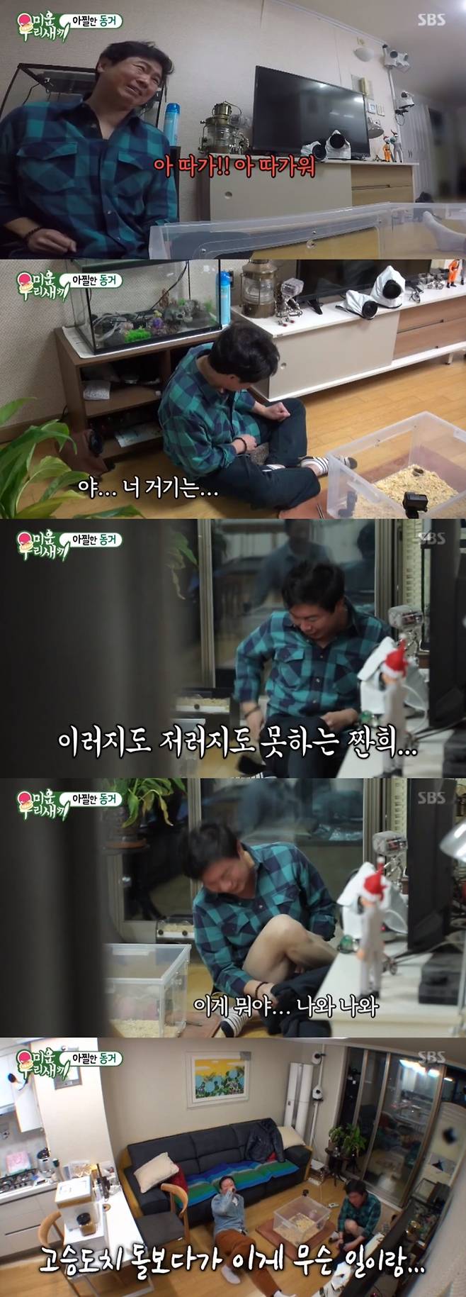 ▲ SBS '미운 우리 새끼'│방송화면 캡처