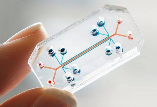 인체의 장기를 구성하는 세포를 배양해 '칩' 속에 넣은 '장기칩'이 상용화되고 있습니다. [사진=유튜브 화면캡처]