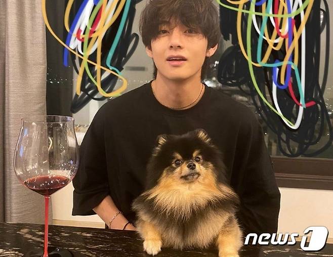 방탄소년단 뷔와 반려견 연탄이. 사진 위버스 © 뉴스1