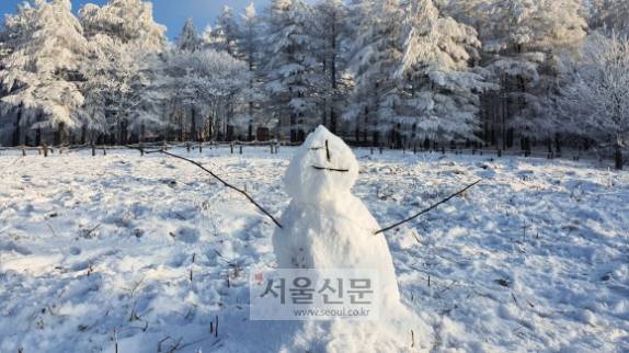 강원 정선과 태백 지역에선 겨울 하면 떠오르는 그 모습들이 곳곳에 펼쳐진다. 만항재 ‘하늘숲공원’ 앞에 세워진 눈사람. 강원 정선과 태백 지역에선 겨울 하면 떠오르는 그 모습들이 곳곳에 펼쳐진다. 만항재 ‘하늘숲공원’ 앞에 세워진 눈사람.