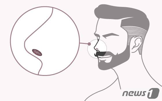 © News1 이은현 디자이너