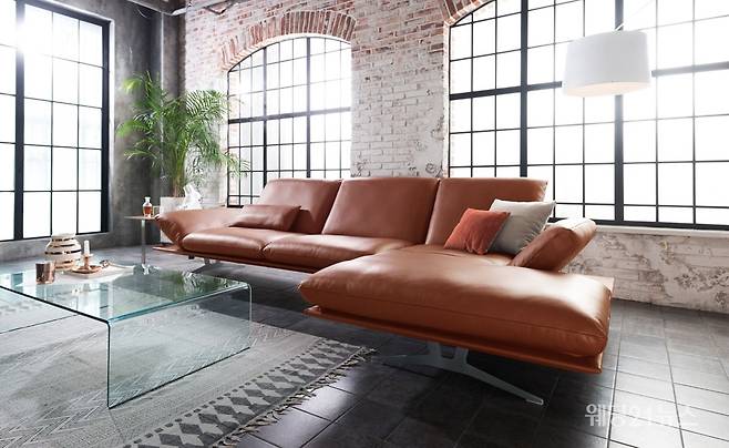 사진 : 도무스디자인(DOMUS design), 코이노 프란시스 코냑