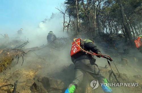 산불 진화 [연합뉴스 자료사진