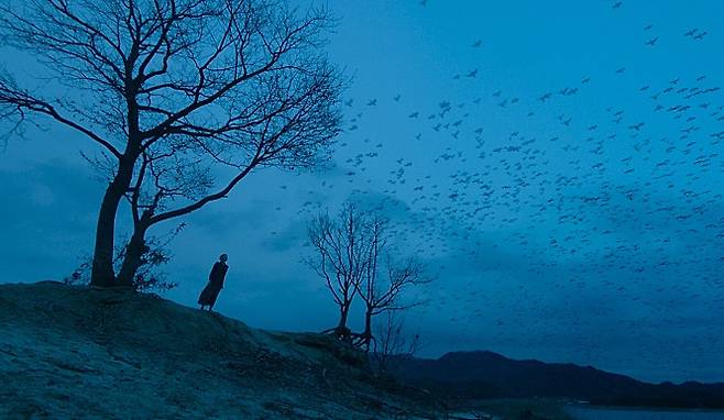 영화 `7년의 밤`에는 오컬트적 요소가 삽입돼 있지만 원작에는 거의 없습니다. 수몰을 피해 도망가야 한다며 절규하는 무녀도 소설에는 나오지 않습니다.