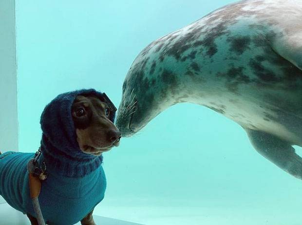 사진=멜라니 탤벗 인스타그램