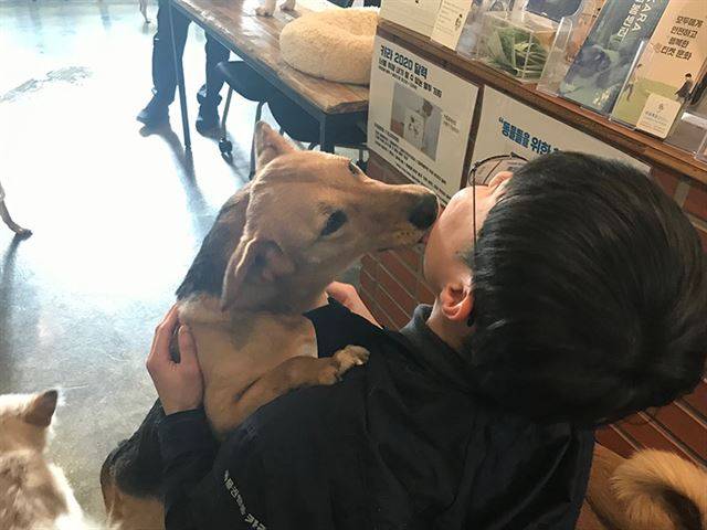 사람을 잘 따르는 미란이가 동물권행동 단체 카라 활동가와 함께 즐거운 시간을 보내고 있다. 카라 제공