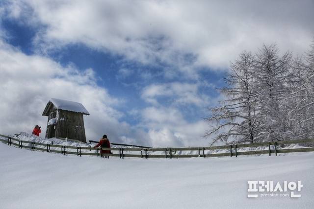 '대관령 양떼목장' 설경 ▲강원 산간에 폭설이 내린 27일 평창군 대관령면 ‘대관령 양떼목장’ 일대가 그림 같이 아름다운 설경이 연출되고 있다. ⓒ(프레시안 홍원문)