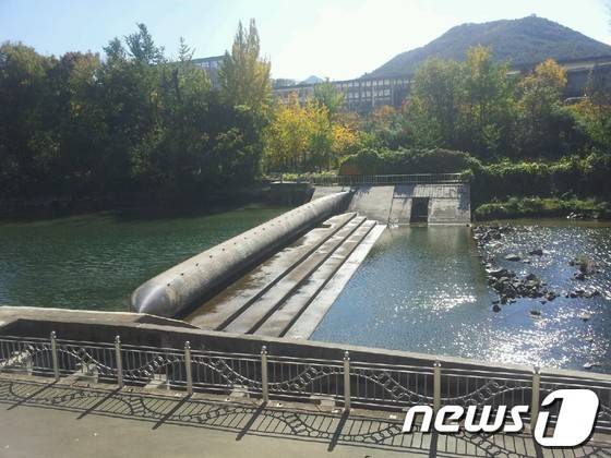 전주천 상류에 있는 보뉴스1