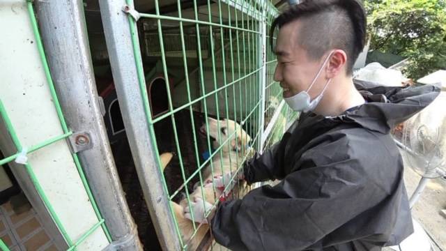 유기견 보호소에서 봉사도 합니다