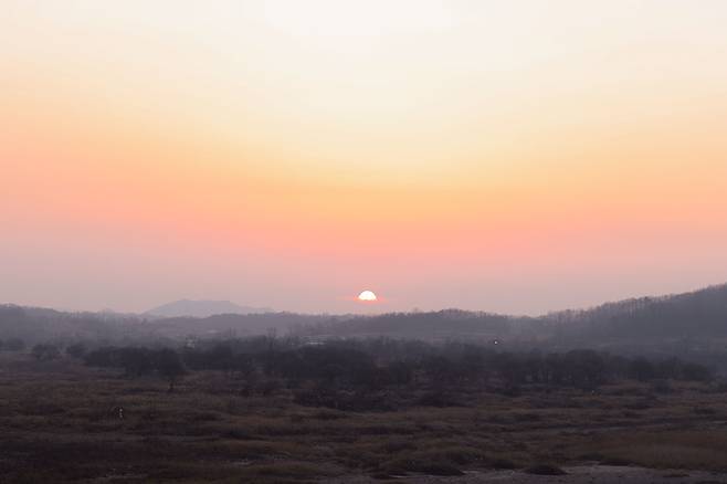 2,010만 화소 센서와 디직X 영상처리장치의 호흡은 기대 이상이다.
