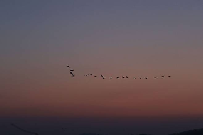 고속 연사는 빠르게 움직이는 피사체를 기록하는데 큰 도움이 된다.