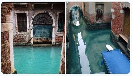 맑아진 모습의 이탈리아 베네치아 운하의 물. 코로나 19의 영향으로 관광객이 줄면서 운하의 수질과 함께 대기질도 개선되고 있는 것으로 나타났다. [트위터]