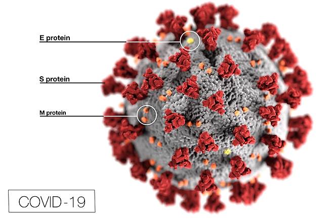 미국 질병통제예방센터(CDC)가 공개한 코로나19 바이러스의 3D 구조도.