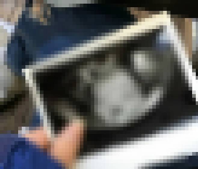 전 여자친구라고 주장하는 A씨가 롯데 자이언츠 고승민 선수의 사생활을 폭로했다 © 뉴스1