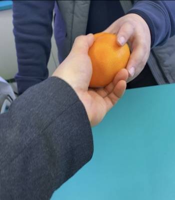 천혜향을 가게 사장님들에게 건넸다. 잠시나마 웃었다./사진=남형도 기자