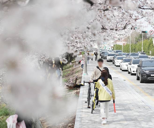 28일 오후 청주시 상당구 무심천 벚꽃길에서 시 관계자가 마스크를 착용하지 않은 시민에게 마스크 착용을 권고하고 있다. 2020.3.28 [이승민 기자 촬영]