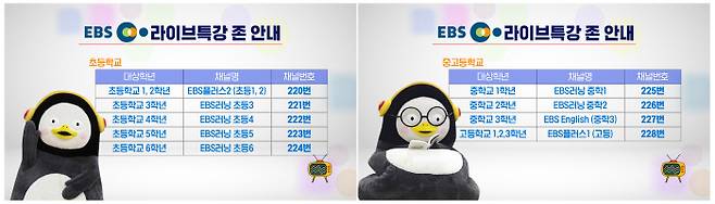 라이브 특강 안내. [사진 제공 = KT스카이라이프]