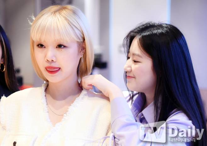 티브이데일리 포토