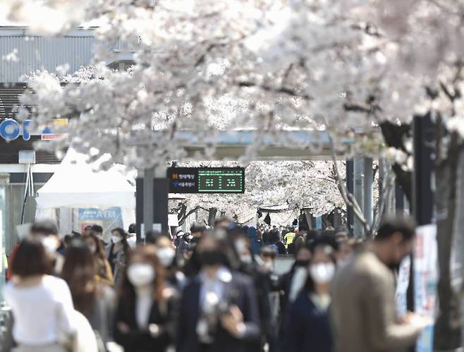 지난 5일 오후 서울 여의도 여의나루역 인근에 많은 상춘객들이 벚꽃을 보기 위해 한강 여의도공원을 찾은 모습./사진=뉴시스