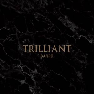 TRILLIANT BANPO (트릴리언트 반포) [제공=대우건설]