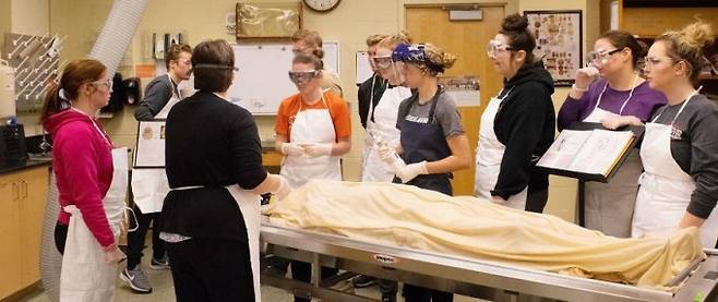 해부학 실습 모습. 하이델베르크대 제공