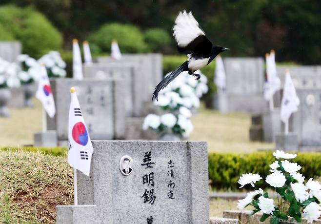▲ 4·19혁명 기념일을 이틀 앞둔 17일 서울 강북구 수유동 4·19 민주묘지. ⓒ연합뉴스