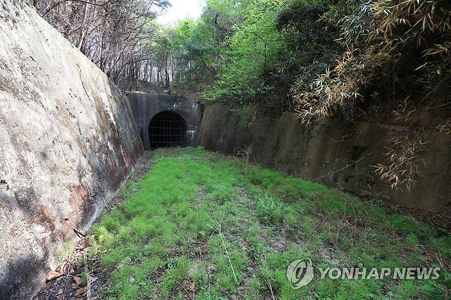 동해북부선 옛 터널 [연합뉴스 자료사진]