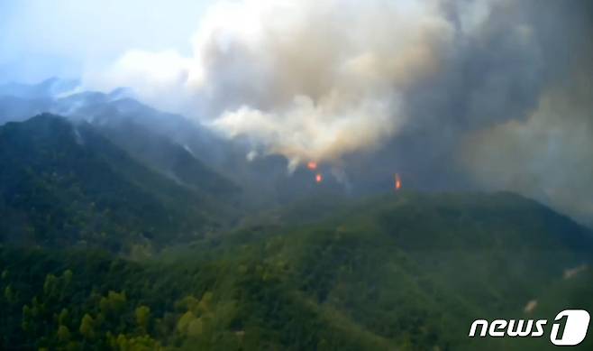 경북 안동시 풍천면 인금리 인근 산불 현장(.산림청 제공) /뉴스1