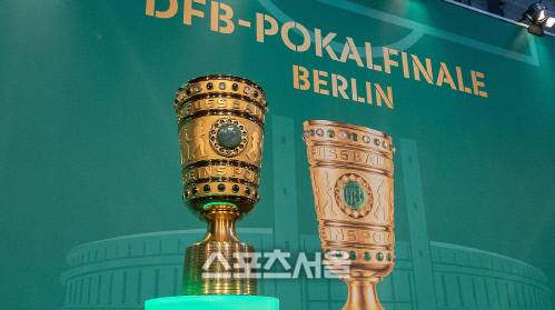 출처 | 포칼컵 트위터