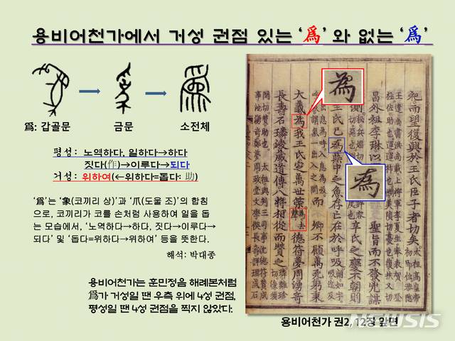 [서울=뉴시스] <사진2> 용비어천가(1447) 또한 훈민정음해례본(1446)과 마찬가지로 ‘爲(위)’자가 거성일 경우엔 글자의 오른쪽 윗부분에 4성 권점을 찍었다. 권점을 찍지 않은 ‘爲’자는 평성이다.