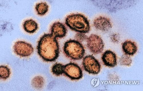 코로나19 바이러스 전자 현미경 사진 [EPA=연합뉴스]