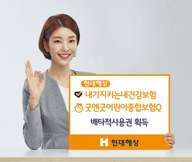 [사진=현대해상]