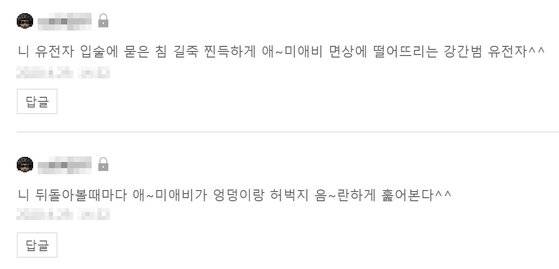 블로거 B씨에게 실제로 달린 악플 사례를 재가공한 사진. 비공개댓글로 악플을 단 이 악플러는 미성년자다.