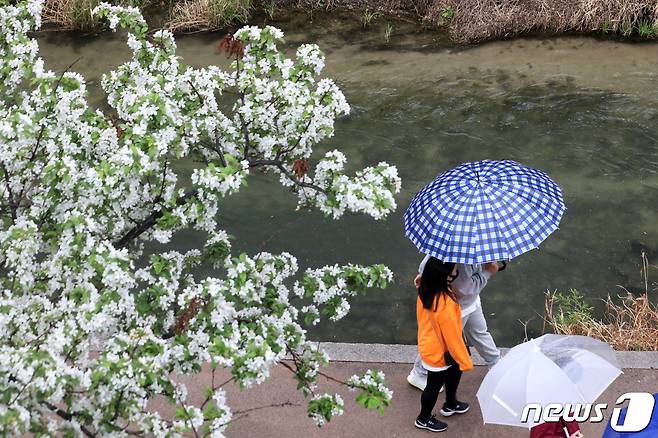 지난달 19일 오후 서울 청계천 영도교~황학교 구간에서 우산을 쓴 채 발걸음을 재촉하는 시민들 모습. /뉴스1DB © News1 황기선 기자