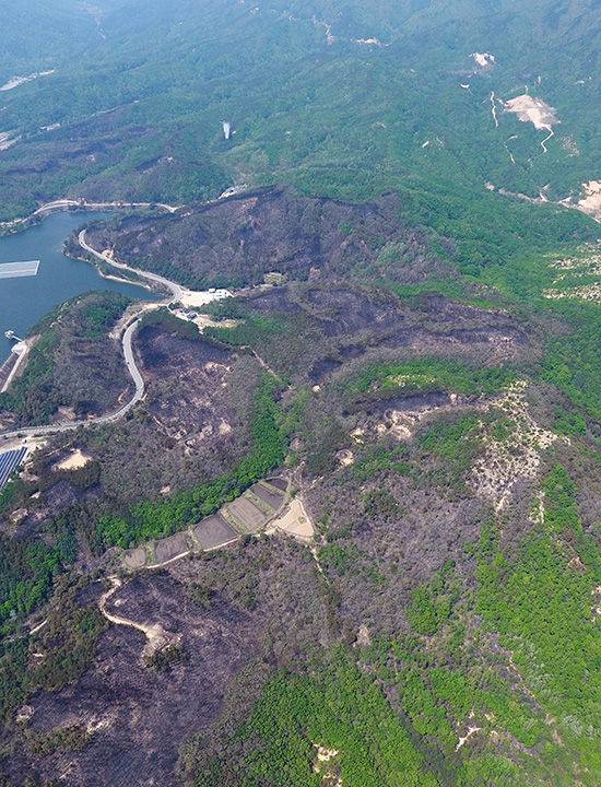 강원 고성군 토성면 산불 주불이 진화된 2일 오전 화재 현장의 산림이 검게 타 있다. (사진=연합뉴스)