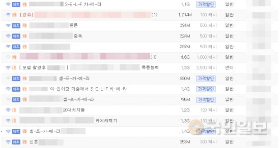 불법촬영물이 공유되는 웹하드 페이지 모습. 웹하드 사이트 캡처