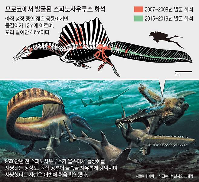 /사진=내셔널지오그래픽