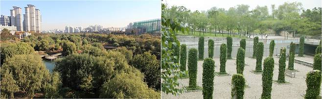 서울 여의도샛강생태공원과 선유도공원의 모습. 조경설계 서안(주) 제공