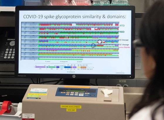 미국 메릴랜드주의 백신 개발회사 노바백스 연구소에서 한 연구원이 컴퓨터로 가능성 있는 백신의 단백질 구조를 살펴보고 있다. [AFP=연합뉴스]