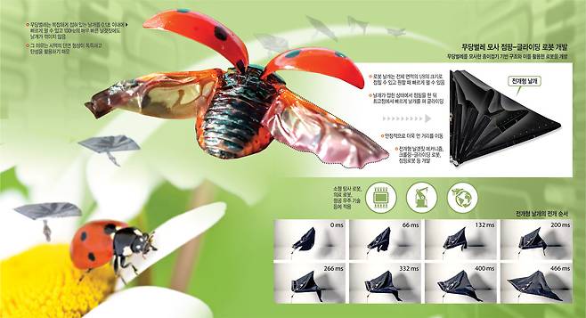 그래픽=송재우 기자