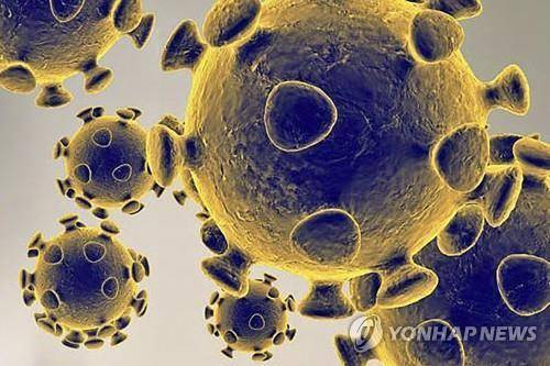 코로나19 바이러스 일러스트레이션 이미지 [실버 스프링 AFP=연합뉴스 자료사진]
