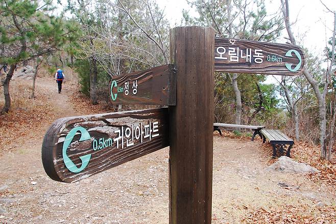 호암산 주능선의 갈림길. 길이 많지만 이정표가 잘 되어있어 길찾기는 어렵지 않다.