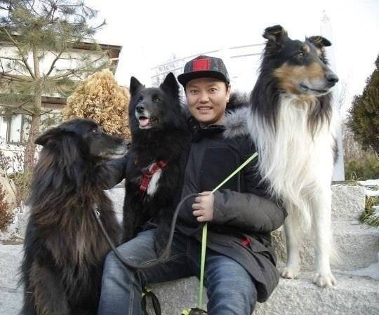 김민교와 반려견들. [사진 김민교 인스타그램]